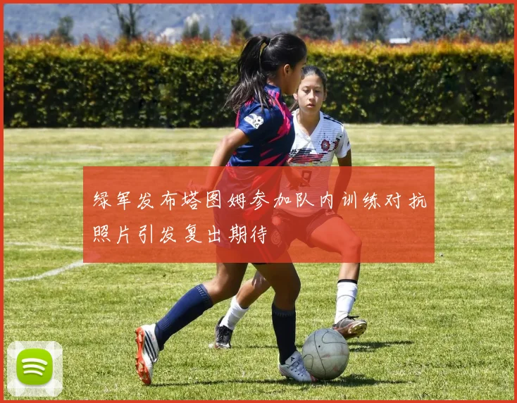绿军发布塔图姆参加队内训练对抗照片引发复出期待