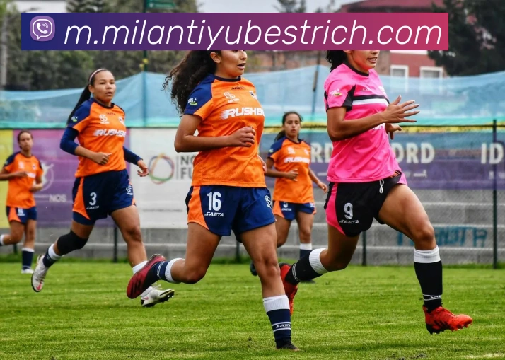 App Interface Preview