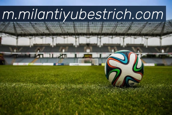 米兰体育APP 封面图