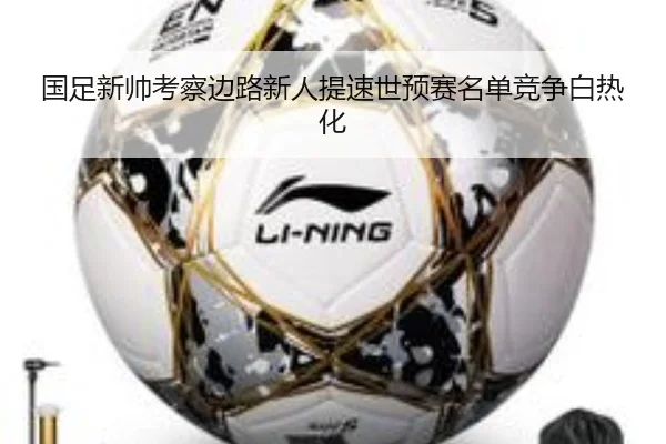 国足新帅考察边路新人提速世预赛名单竞争白热化 | MILANSPORT
